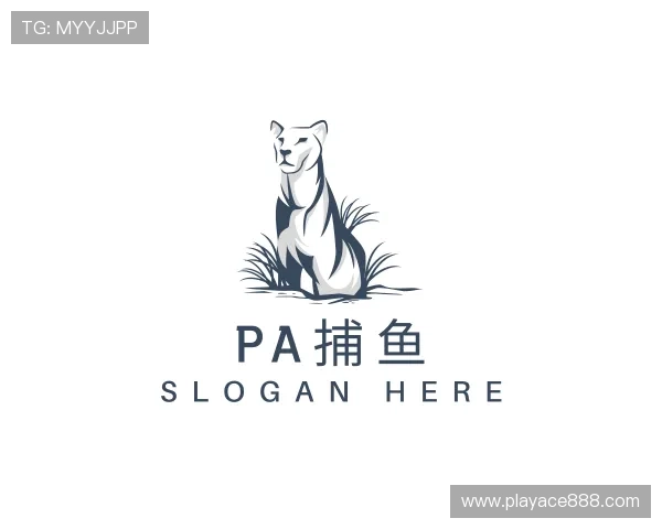 介绍澳门BBIN平台